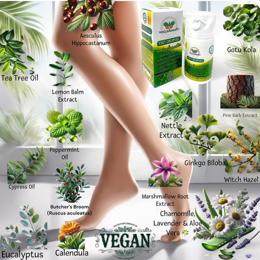 VARICOBOOSTER Gel-Fußcreme, 2 x 75 ml, über 25 sorgfältig ausgewählte Inhaltsstoffe, neue verbesserte Formel auf Basis natürlicher Komponenten, Nova Botea Airless-Pumpe